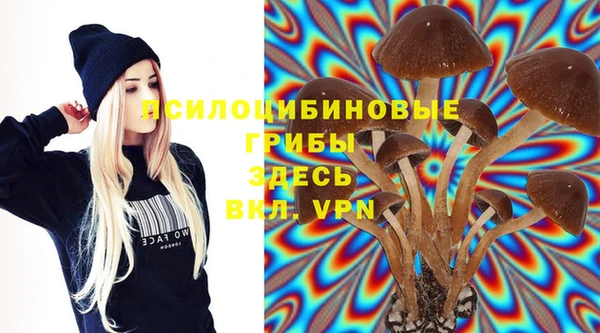 молекула духа Белоозёрский