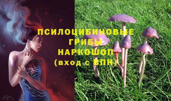 молекула духа Белоозёрский