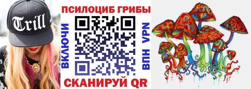 купить   МЕГА как войти  Псилоцибиновые грибы мухоморы  Лыткарино 