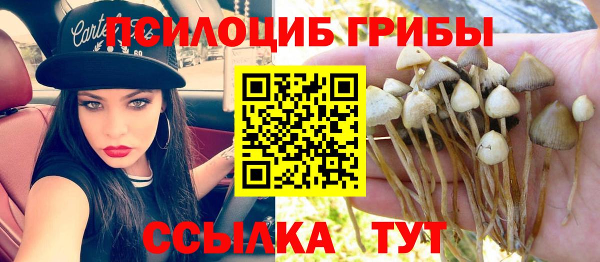 Лыткарино  Псилоцибиновые грибы Cubensis  Вход с VPN 
