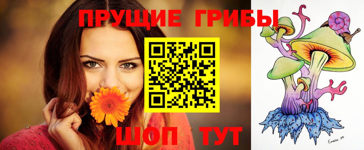 Галлюциногенные грибы Cubensis Лыткарино
